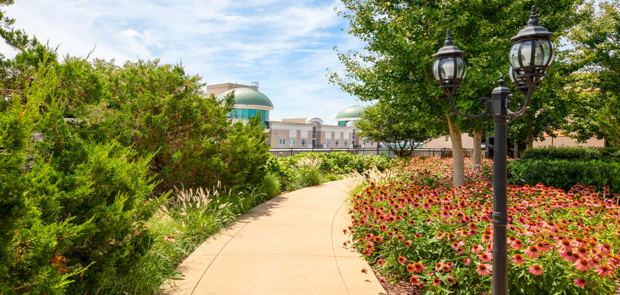 Lush greenery on our rooftop terrace