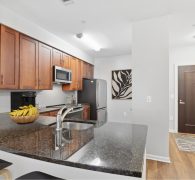 Renovated kitchen radiating sophfistication